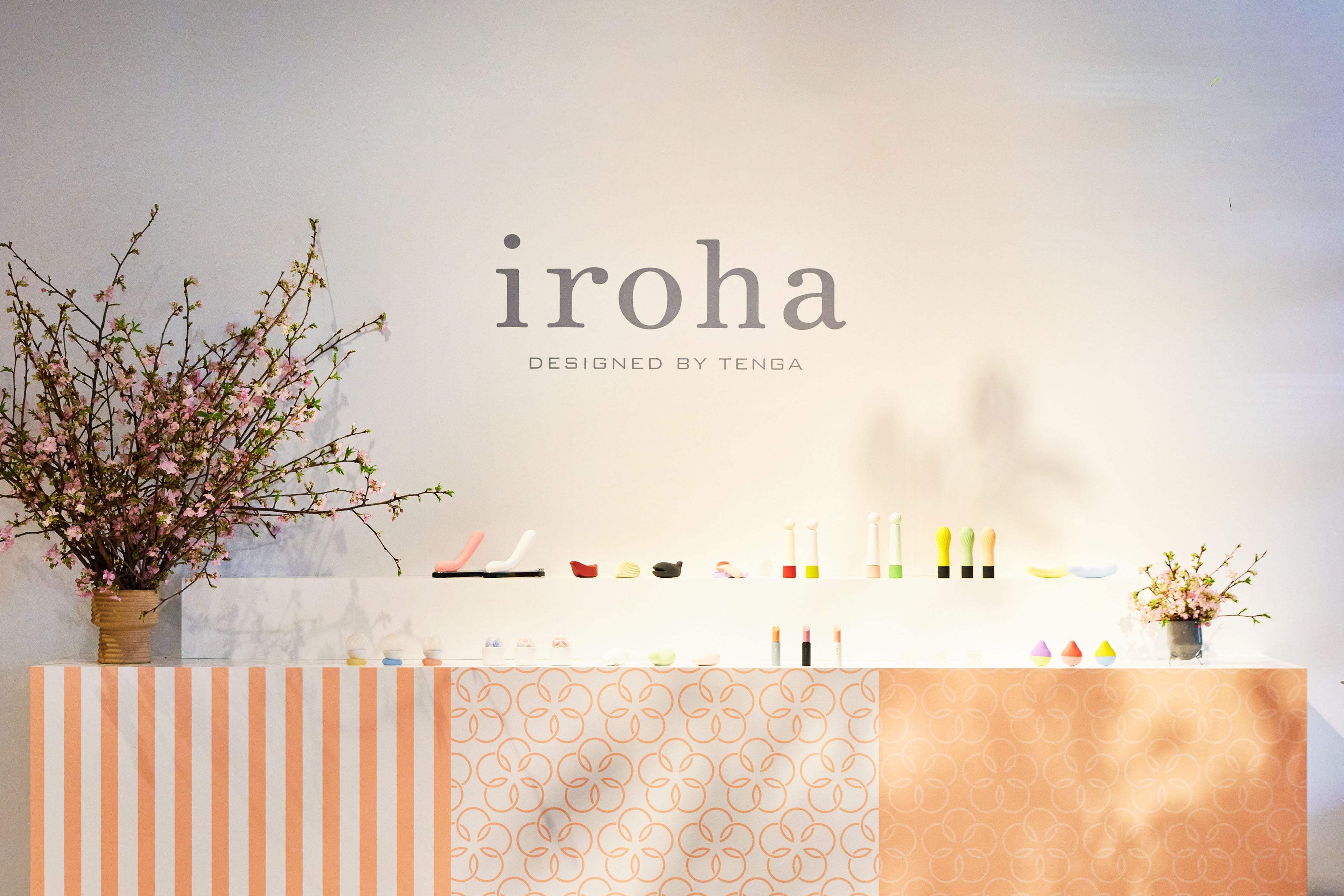 iroha 10th anniversary